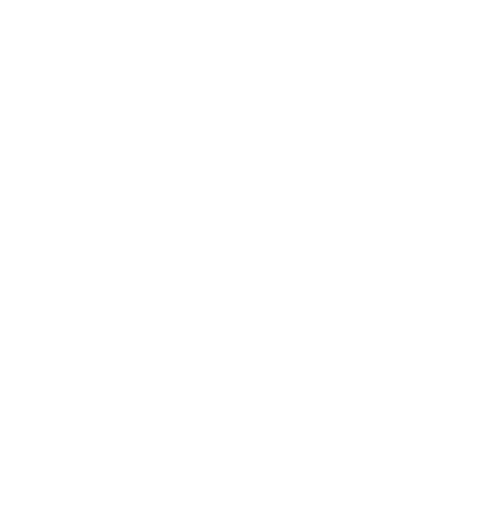 BDIA logo
